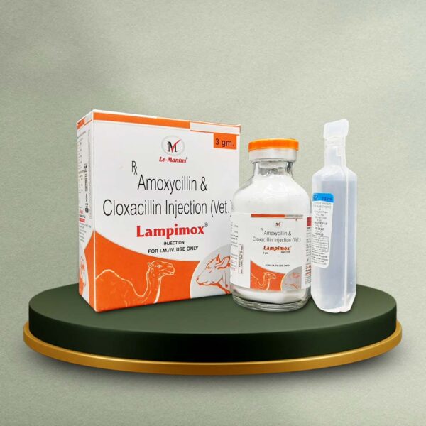 Amoxycillin & Cloxacillin 4gm Dry Injection