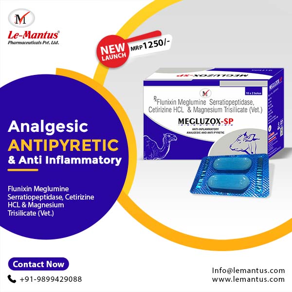 Flunixin meglumine,Paracetamol and Serratiopeptidiase bolus - Megluzox-sp